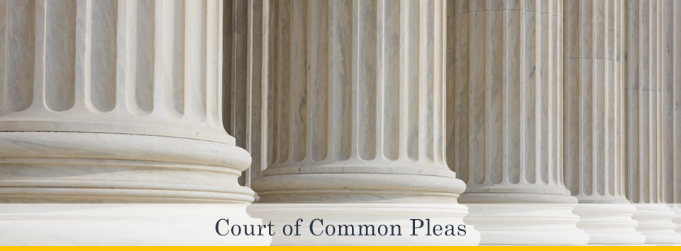 Court of Common Pleas Information Portal Allegheny County