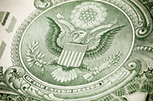 Macro shot of eagle on dollar bill